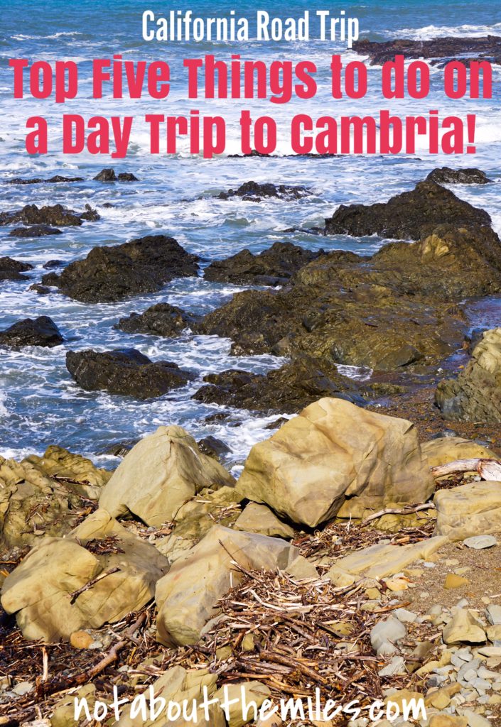 Cambria is the quintessential California coastal town, with beautiful walking trails and a charming Main Street. Read my post to discover the top five things to do in Cambria!