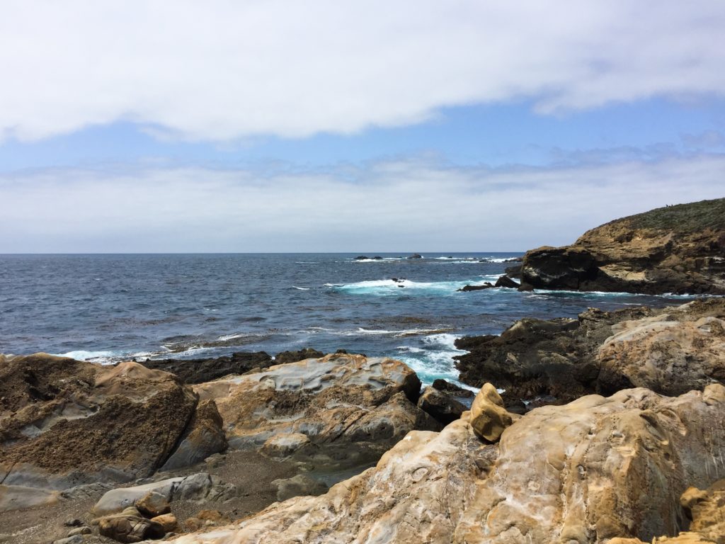 View from South Shore Trail, Point Lobos State Reserve