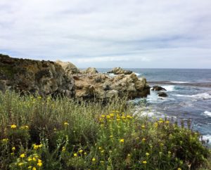 Point Lobos State Park Carmel