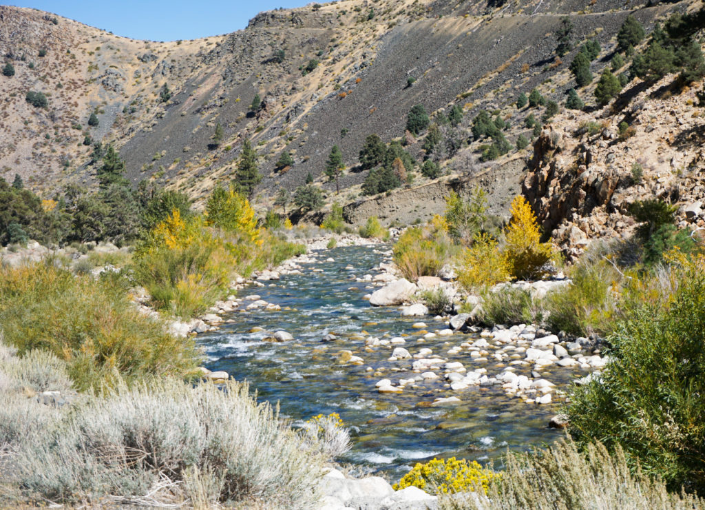 Walker River Canyon in the Fall