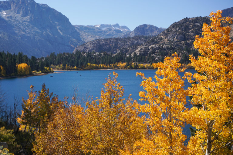 Fall Colors in the Eastern Sierra: Why You Must Do This California Road ...