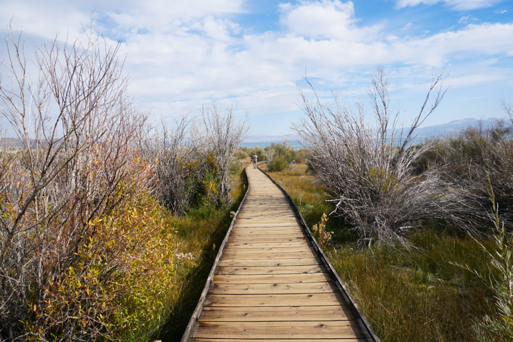 The boardwalk trail at Mono Lake in the Eastern Sierra