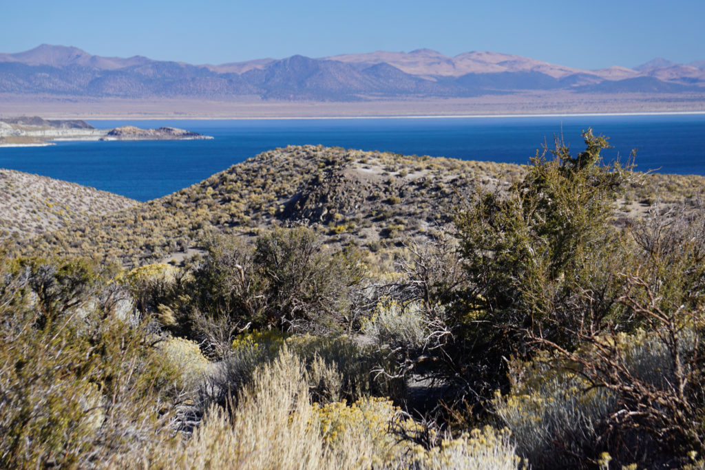 View of Mono Lake from the access road to the South Lake Tufa