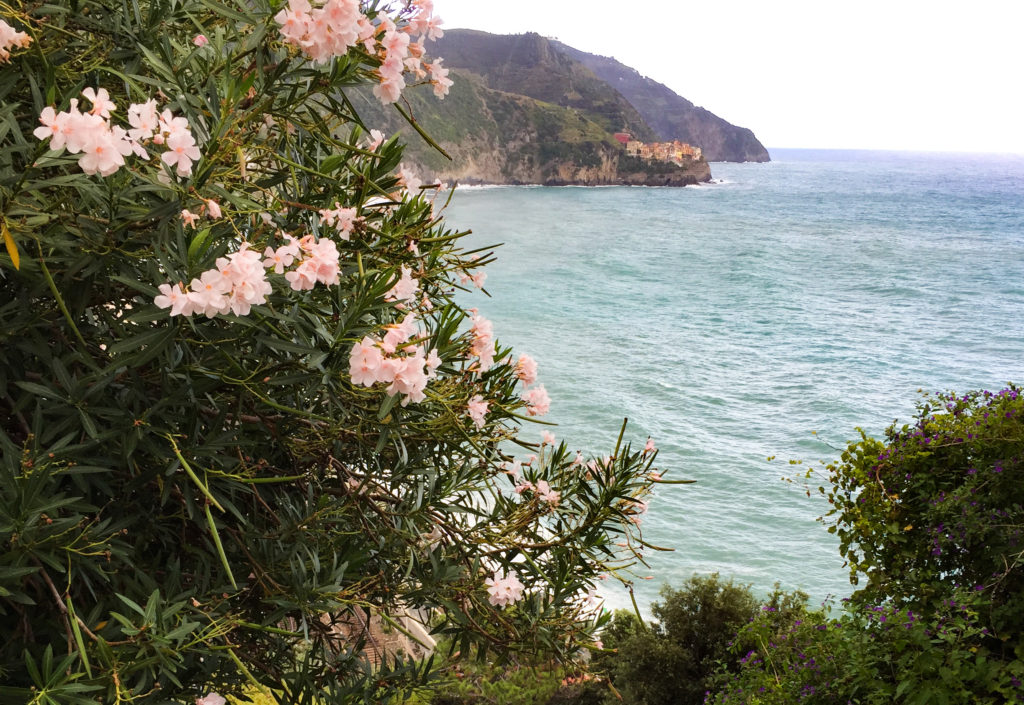 A view of the Ligurian Sea from the steps going up to Corniglia in Italy