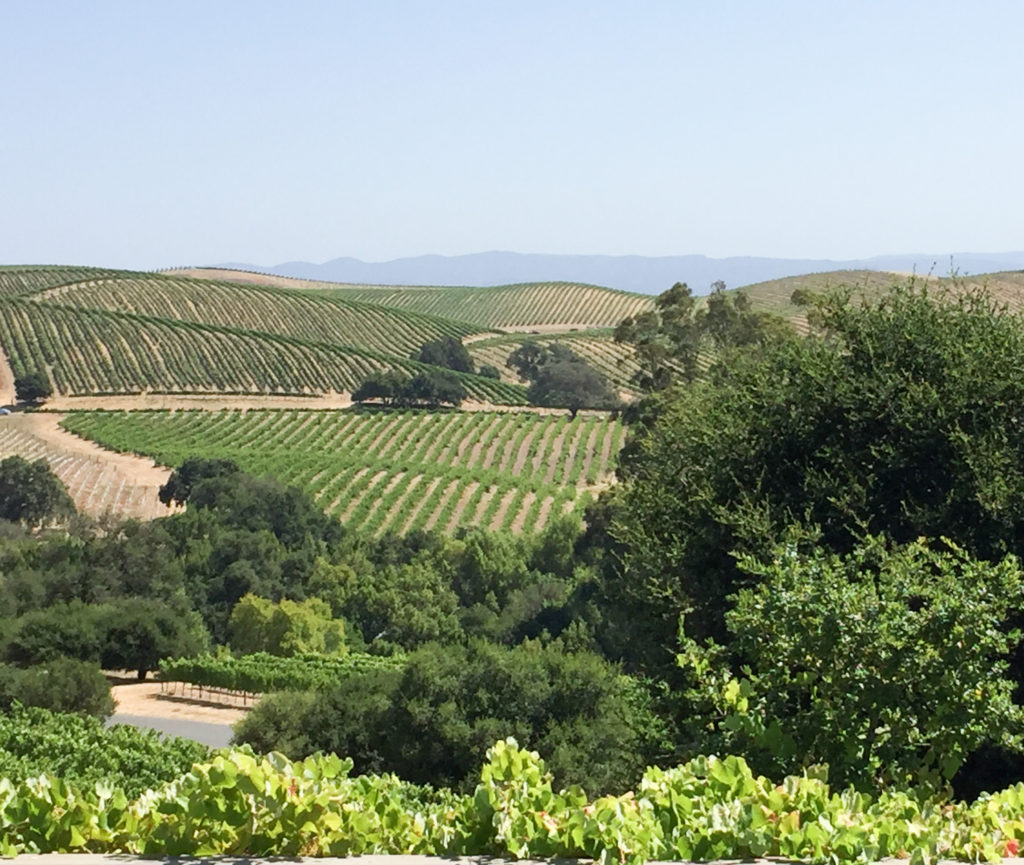 View from Artesa Winery Napa Valley California