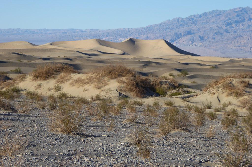 Mesquite Flat Sand Dunes Death Valley National Park California