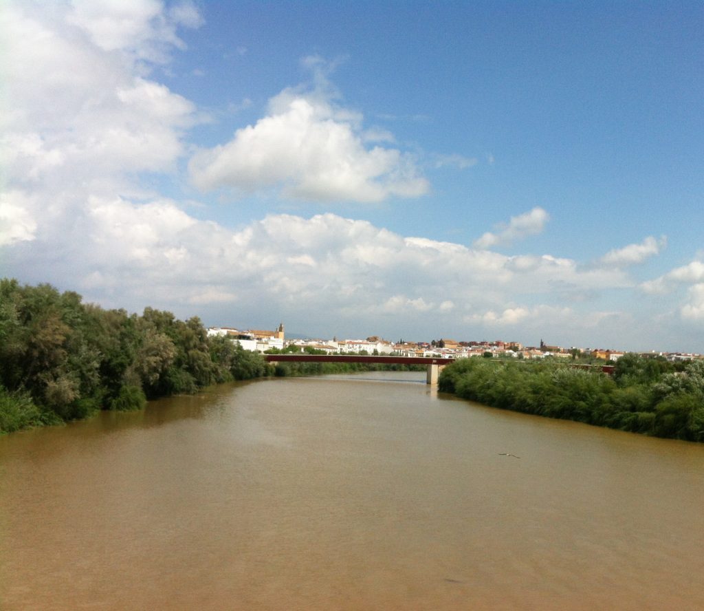 View of the Guadalquivir from the Roman Bridge in Cordoba Spain
