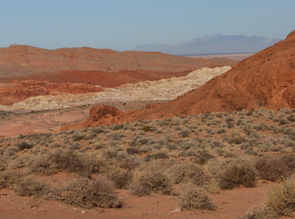 View from the Fire Wave Trail at Valley of Fire Park