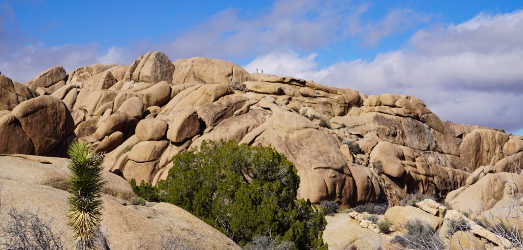 10 Fun Things to Do in Joshua Tree National Park