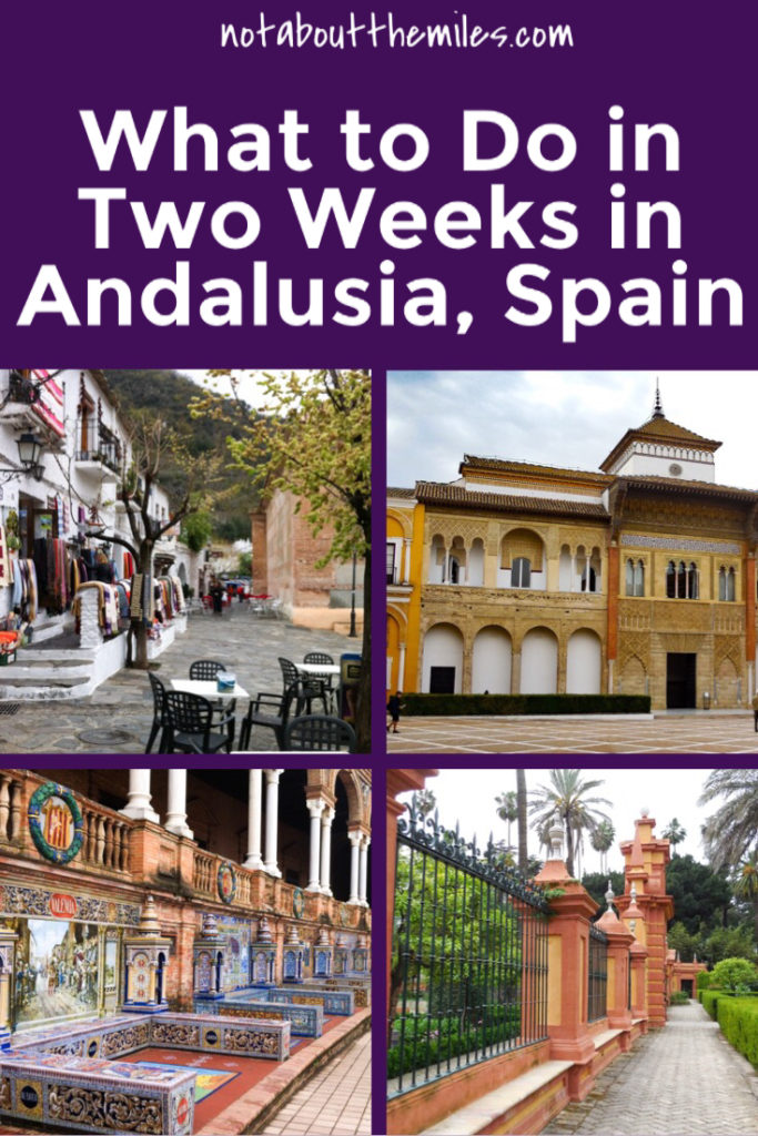 Planning a trip to Andalusia? The Southern Spain province will captivate you with its fabulous monuments, diverse landscapes, flamenco and fiestas, and tapas! Here's what to do in 2 weeks in Andalusia! 
