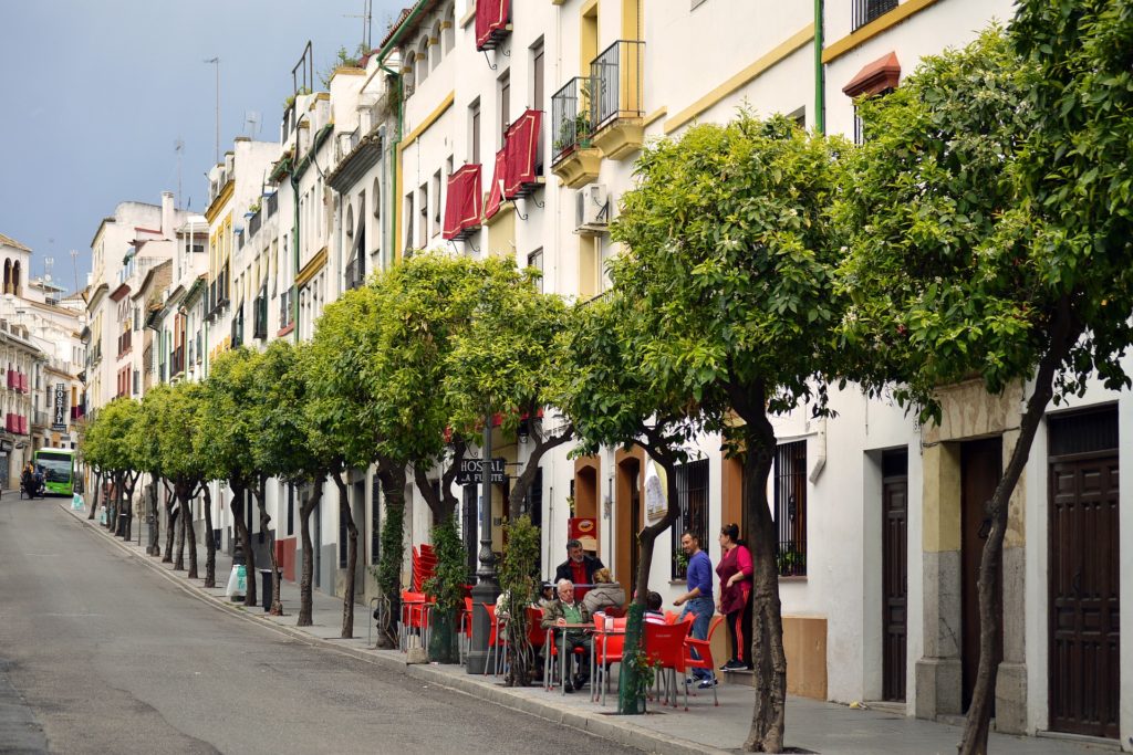 Two Weeks in Andalusia: Your Ultimate Itinerary for Southern Spain