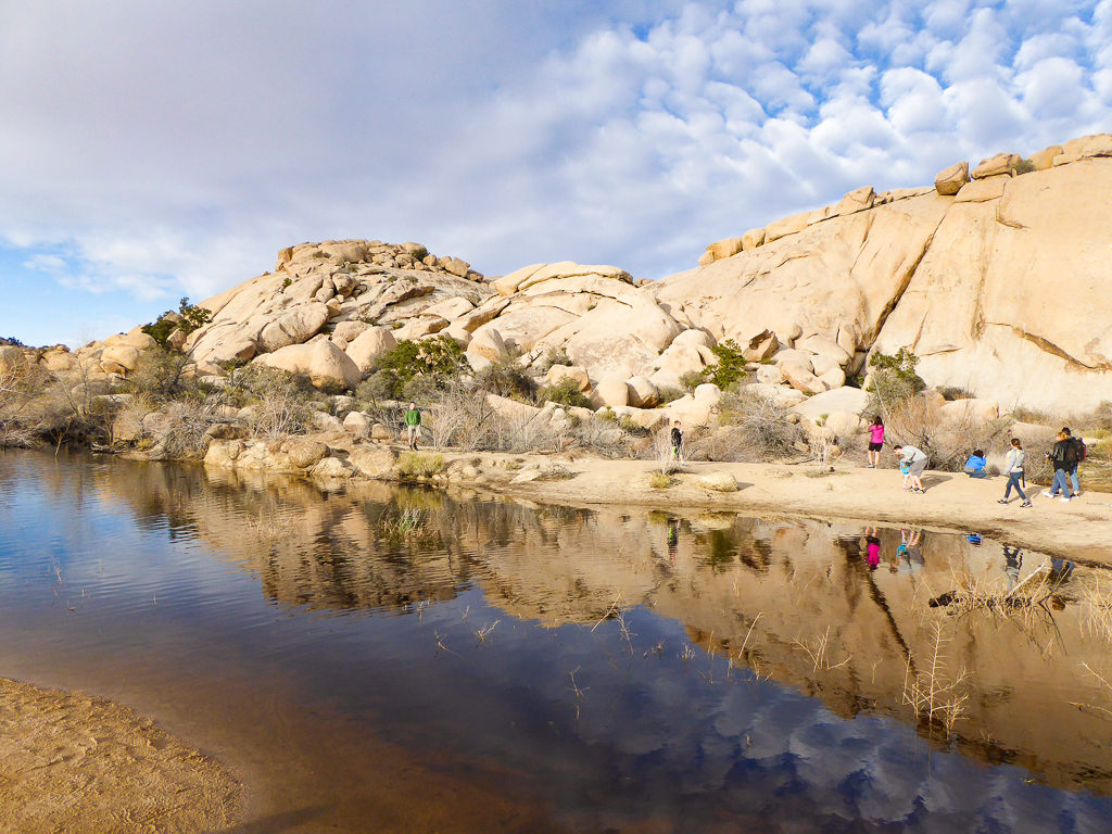 Barker Dam, Joshua Tree National Park, California, USA