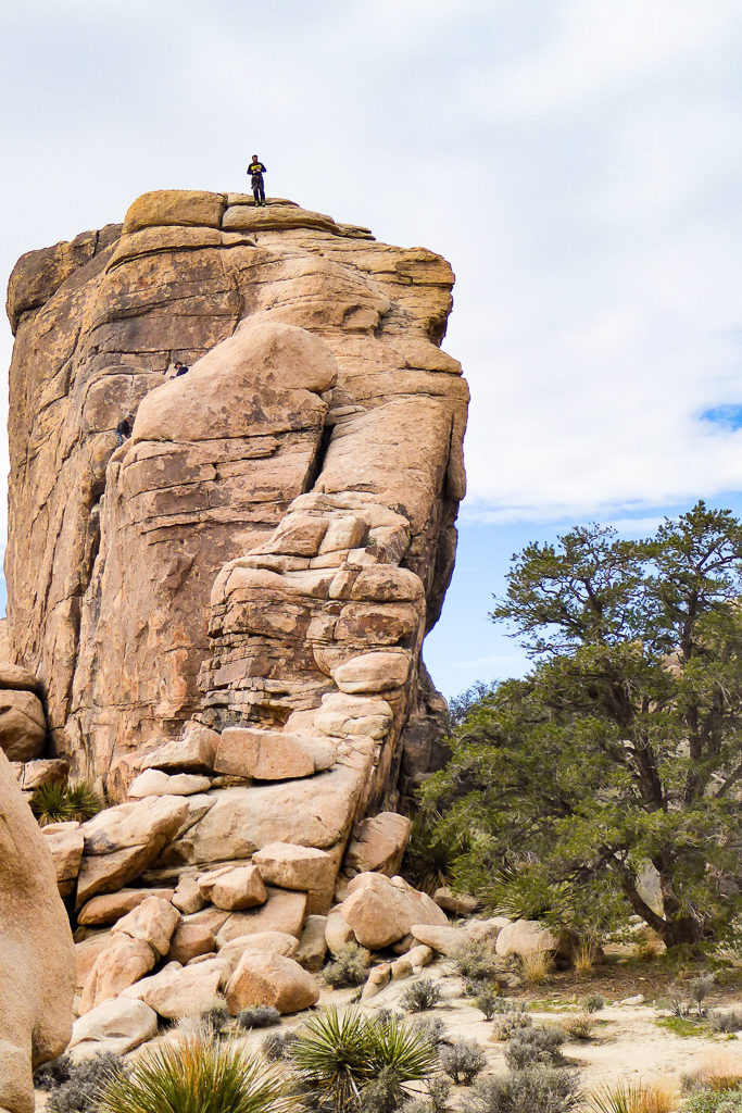 Rock climbing in Joshua Tree National Park, California, USA