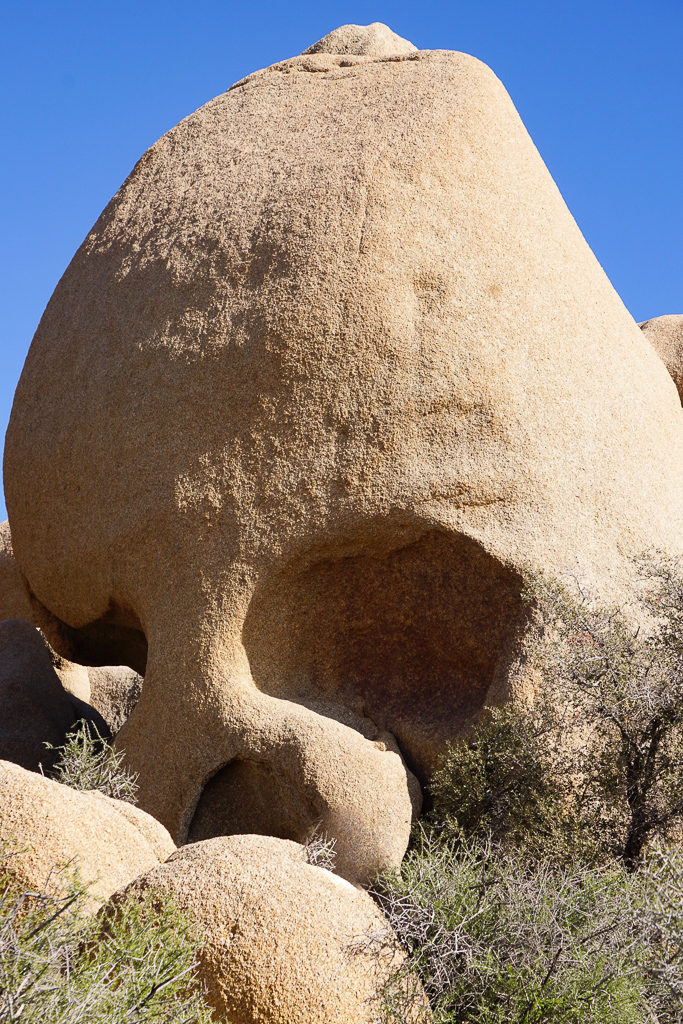 Skull Rock in Joshua Tree National Park California USA