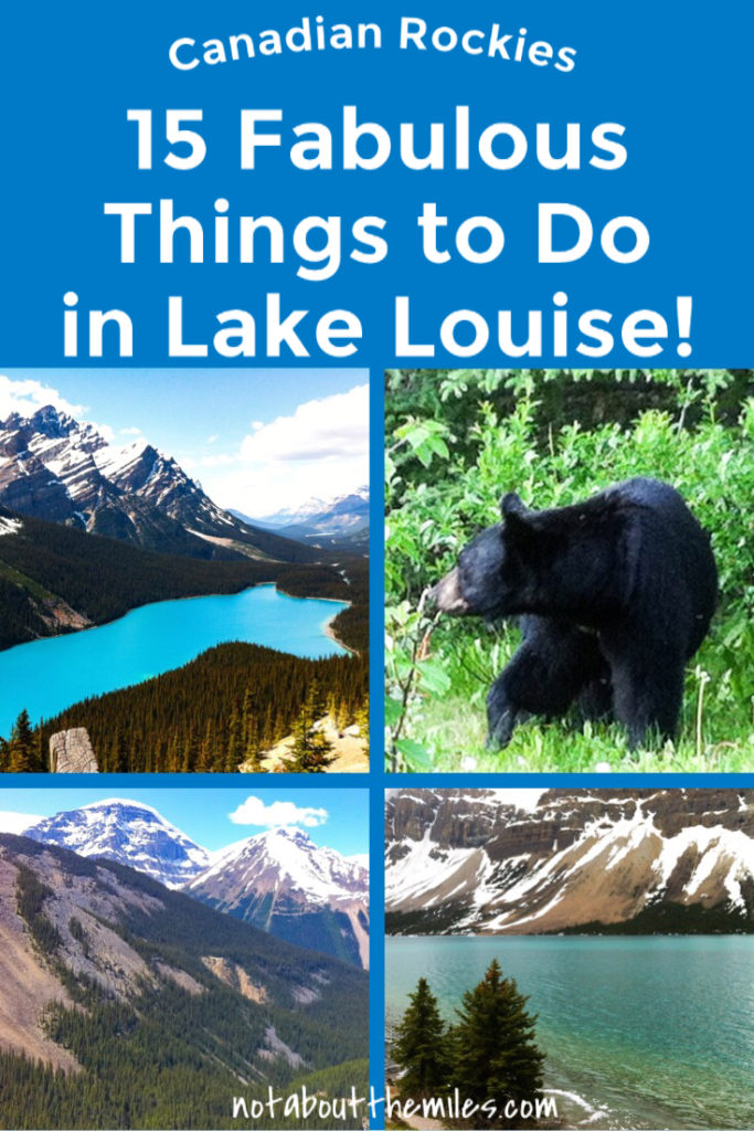 From photography to hikes, and renting a canoe to scenic drives, you'll be spoiled for choice on what to do in and around Lake Louise in the Canadian Rockies. Check out my list of 15 fun things to do in Lake Louise!
