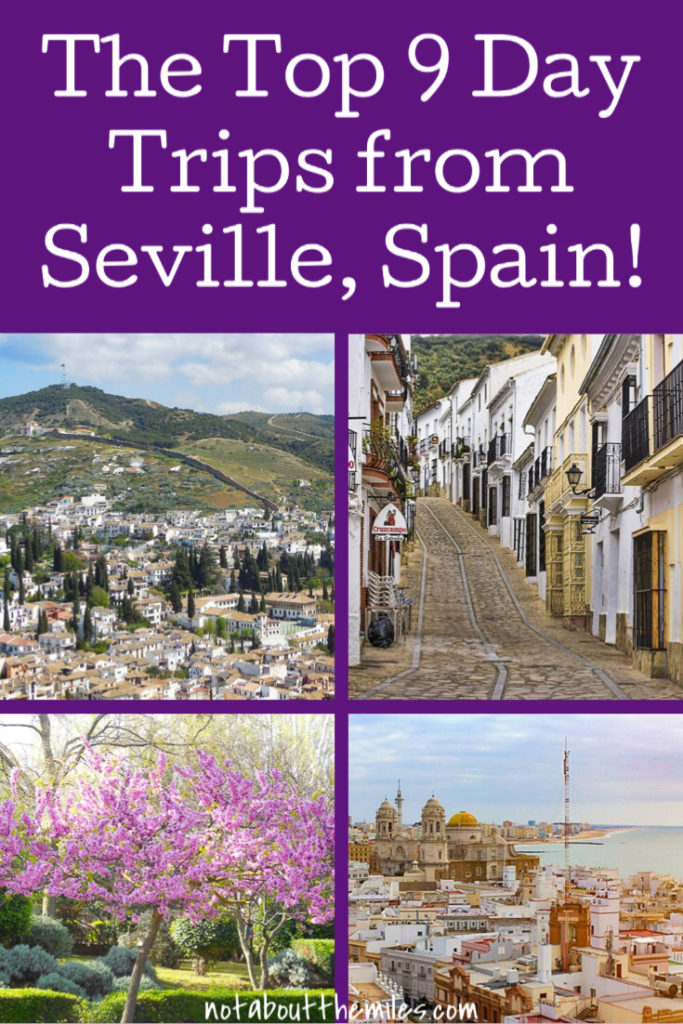 The 9 best day trips from Seville you must do, from Cordoba to Granada and Carmona to Cadiz. Explore beautiful Andalusia's historic cities, natural beauty, sunkissed coast, and pretty white villages, all from your base in Seville, Spain!