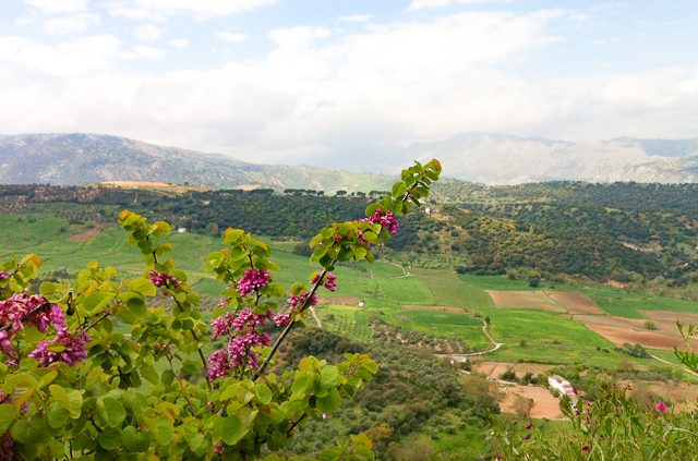 View of the Countryside from Ronda in Andalusia, Spain