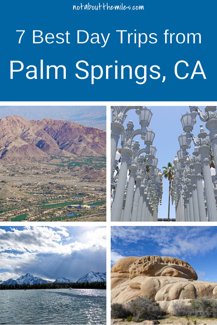 Discover the 7 best day trips from Palm Springs you must add to your itinerary! Choose from urban hotspots like San Diego and LA to national and state parks.