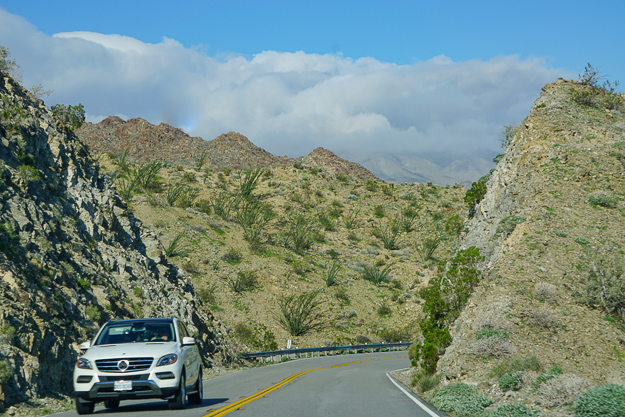 The Scenic Palms to Pines Byway in California makes for a fabulous day trip from Palm Springs