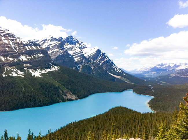 Peyto Lake in the Canadian Rockies is one of the best lakes near Banff to visit