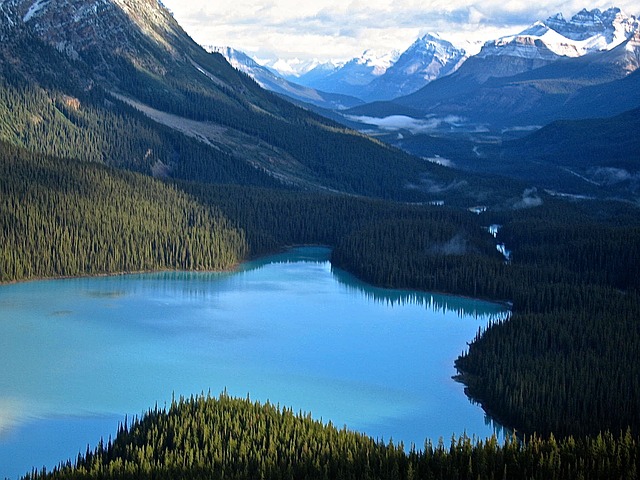Peyto Lake Alberta Canada