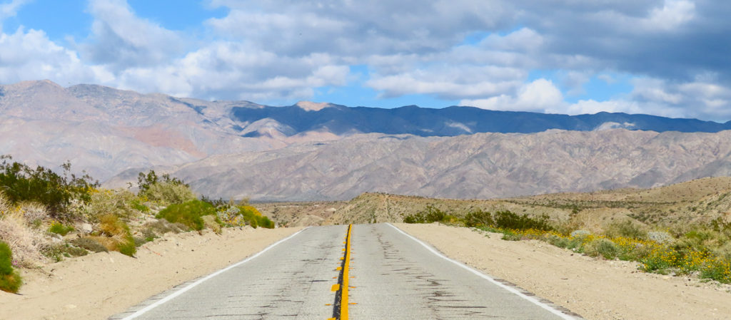 7 Amazing Road Trips from Palm Springs You Must Do!