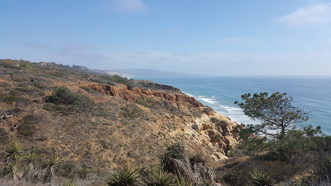 Torrey Pines State Reserve View, San Diego, California