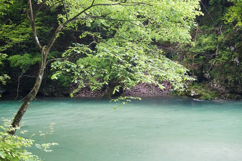 The Radovna River has created the stunning Vintgar Gorge in Slovenia