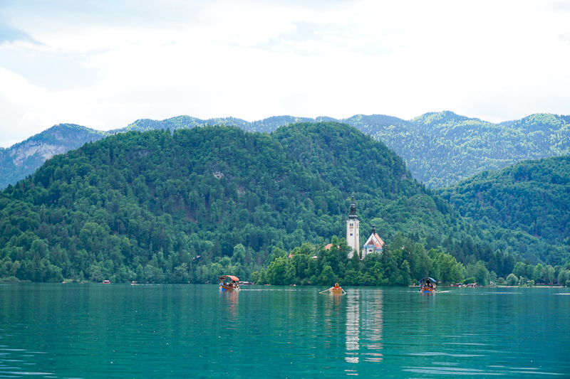 Rowboat at Lake Bled making its sway to Bled Island, along with some Pletna boats.