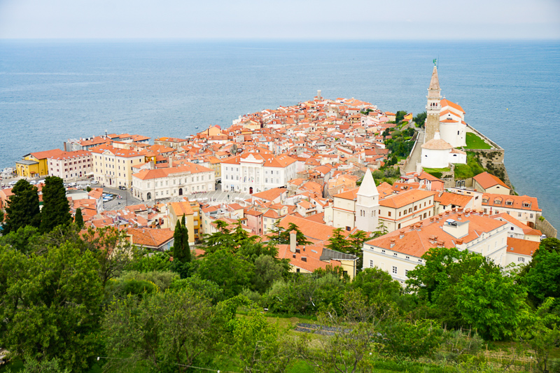 View of Piran from Town Walls