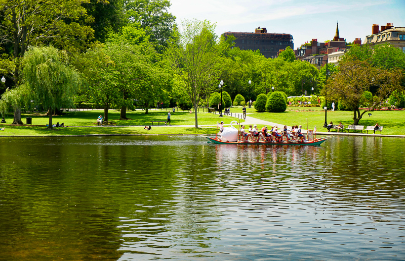 A Boston swan boat in the Public Garden