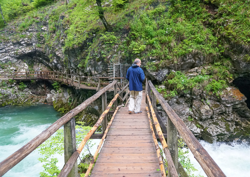 Bridge Vintgar Gorge Slovenia
