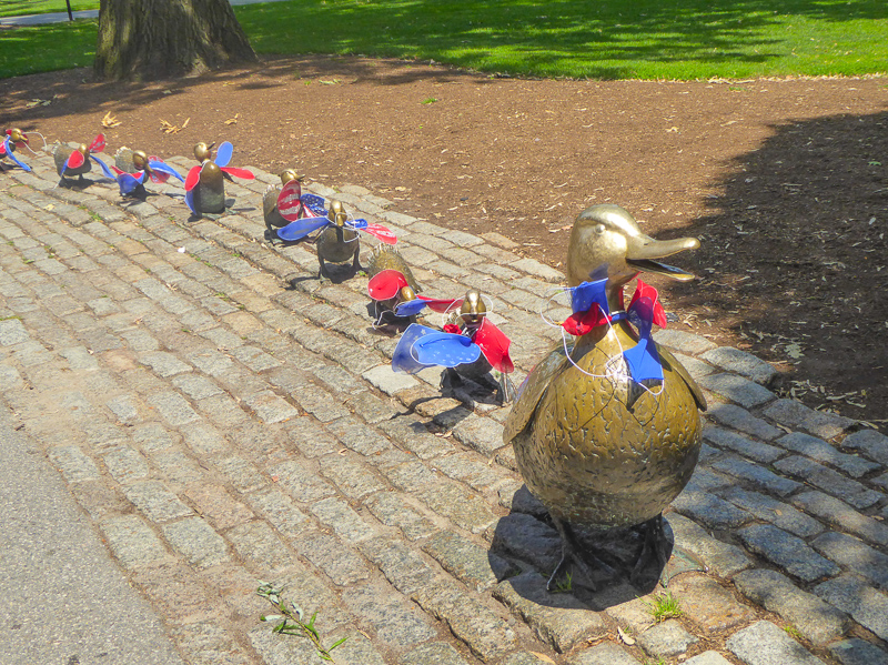 Mrs. Mallard and her Ducklings Boston Public Garden