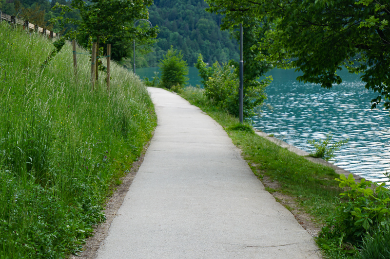 Path along the shore of Lake Bled Slovenia