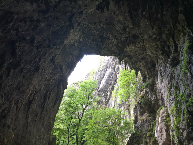 Skocjan Caves Exit Slovenia