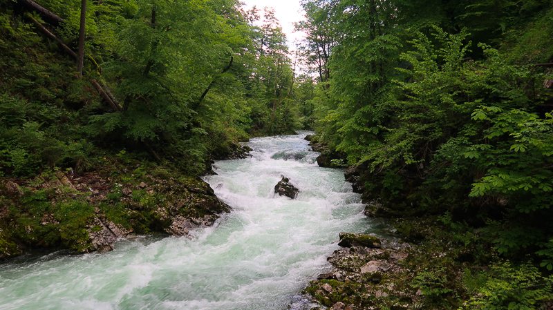 The Radovna River at Vintgar Gorge