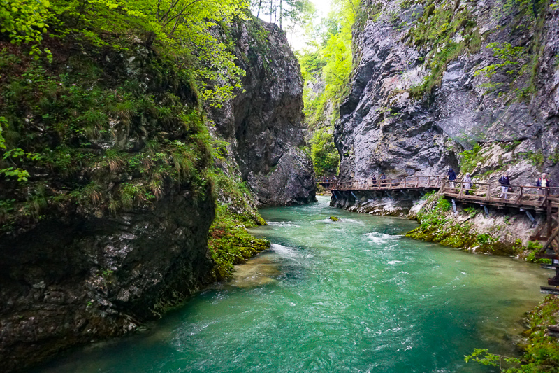 Vintgar Gorge Bled Slovenia