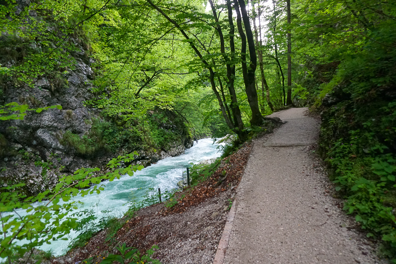 Vintgar Gorge Trail Slovenia
