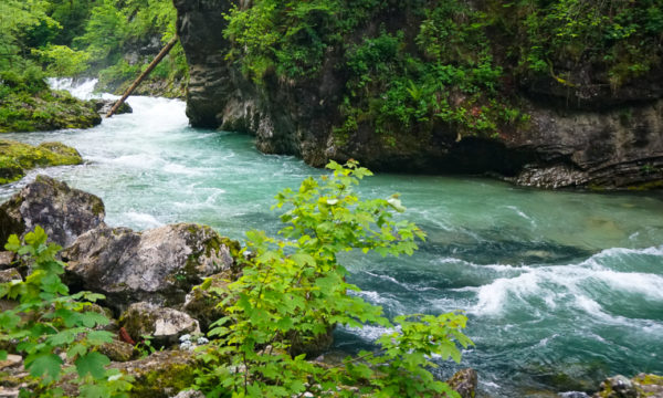 Vintgar Gorge, Slovenia: Why You Should Visit, Plus Tips for a Great Experience!