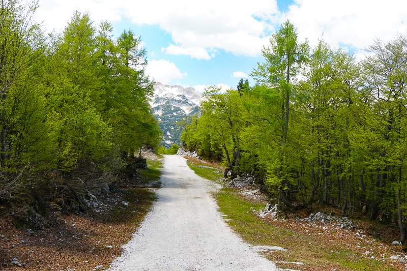 Walking Trail Mount Vogel Slovenia