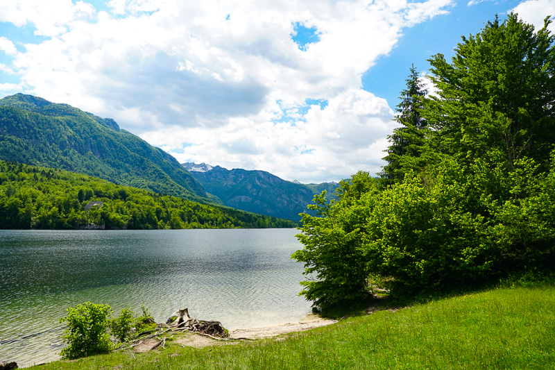 Water view from shore Lake Bohinj Slovenia