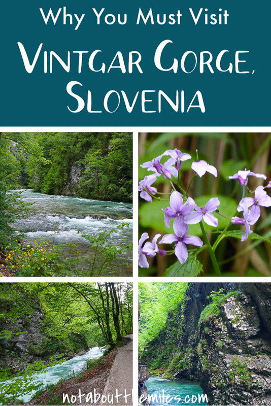 Planning a visit to Slovenia? If you love nature and hiking, you must add Vintgar Gorge to your itinerary! 
