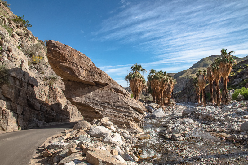 Indian Canyons near Palm Springs California