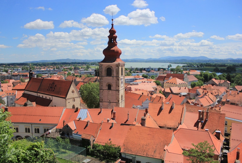 The red roofs of Ptuj Slovenia