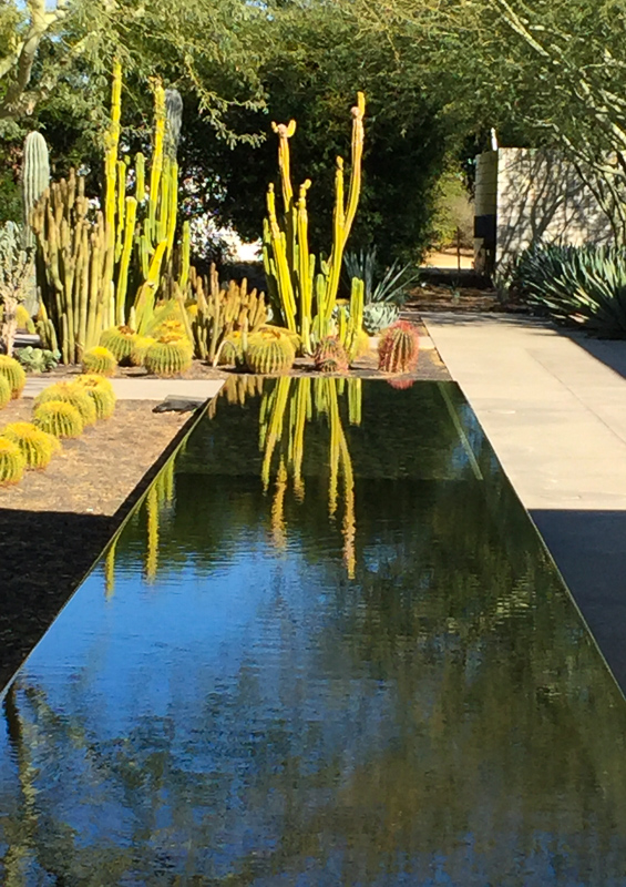 Reflecting pool Sunnylands Rancho Mirage California