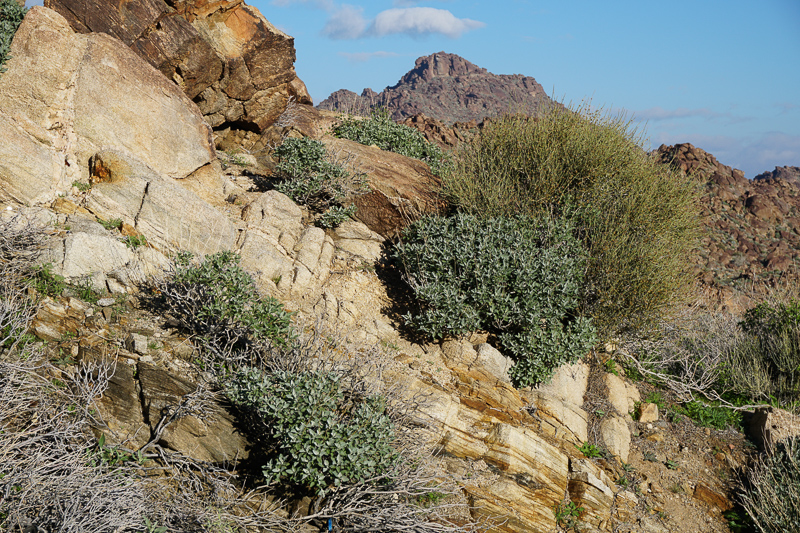 Rocks along Highway 74 in California