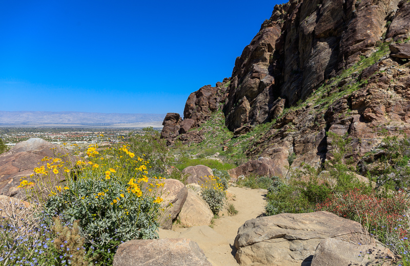 Tahquitz Canyon near Palm Springs California