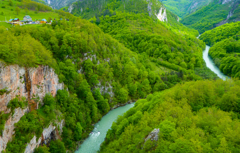 Tara River Montenegro