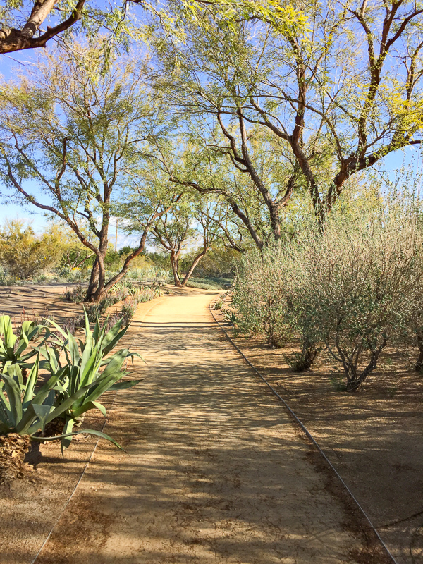 The Gardens at Sunnylands in Rancho Mirage, California