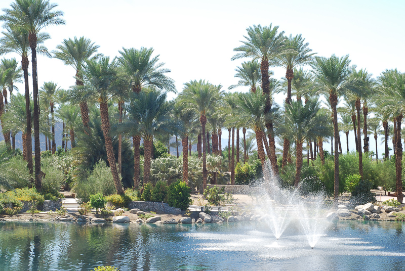 Walking the Shields Date Garden in Indio, California